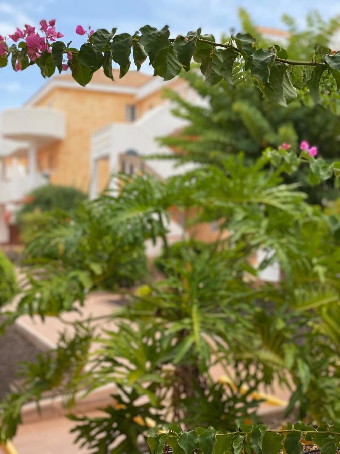 Golden Suite Ocean View & Pool Los Cristianos  Exterior foto